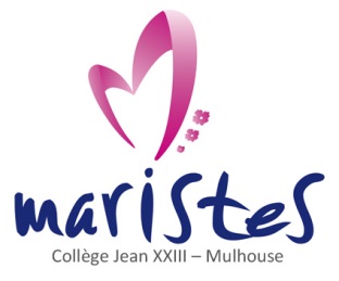 Logo Mariste